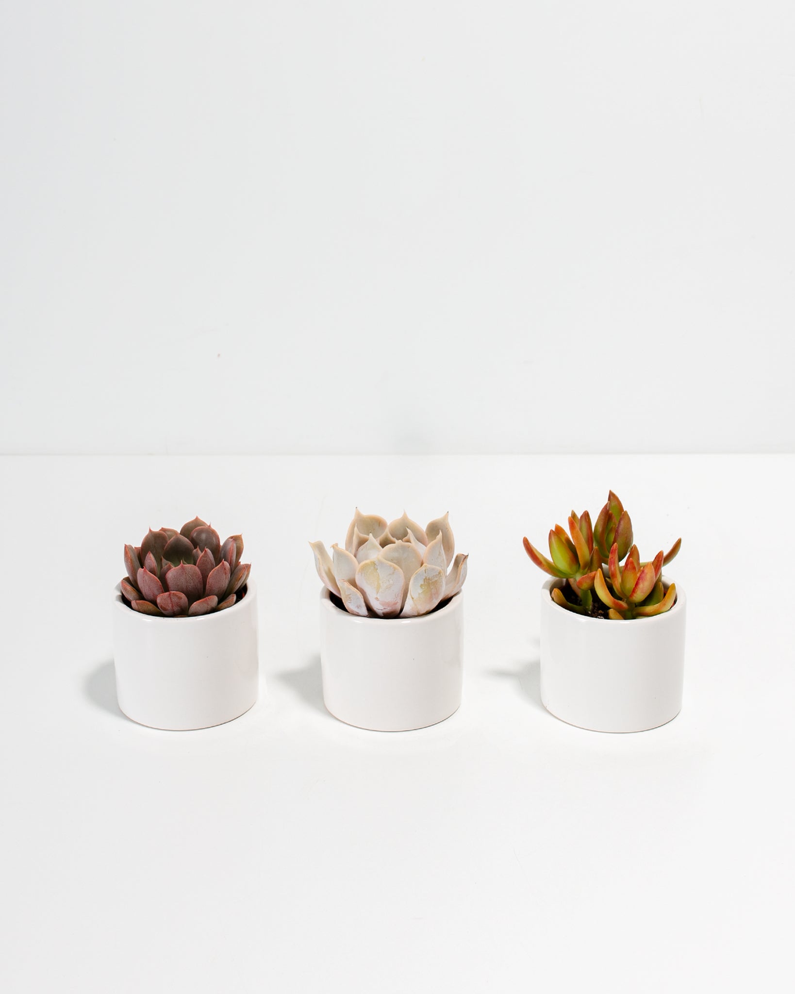 Pl_White-Glaze_White-Pot_3-pack_01